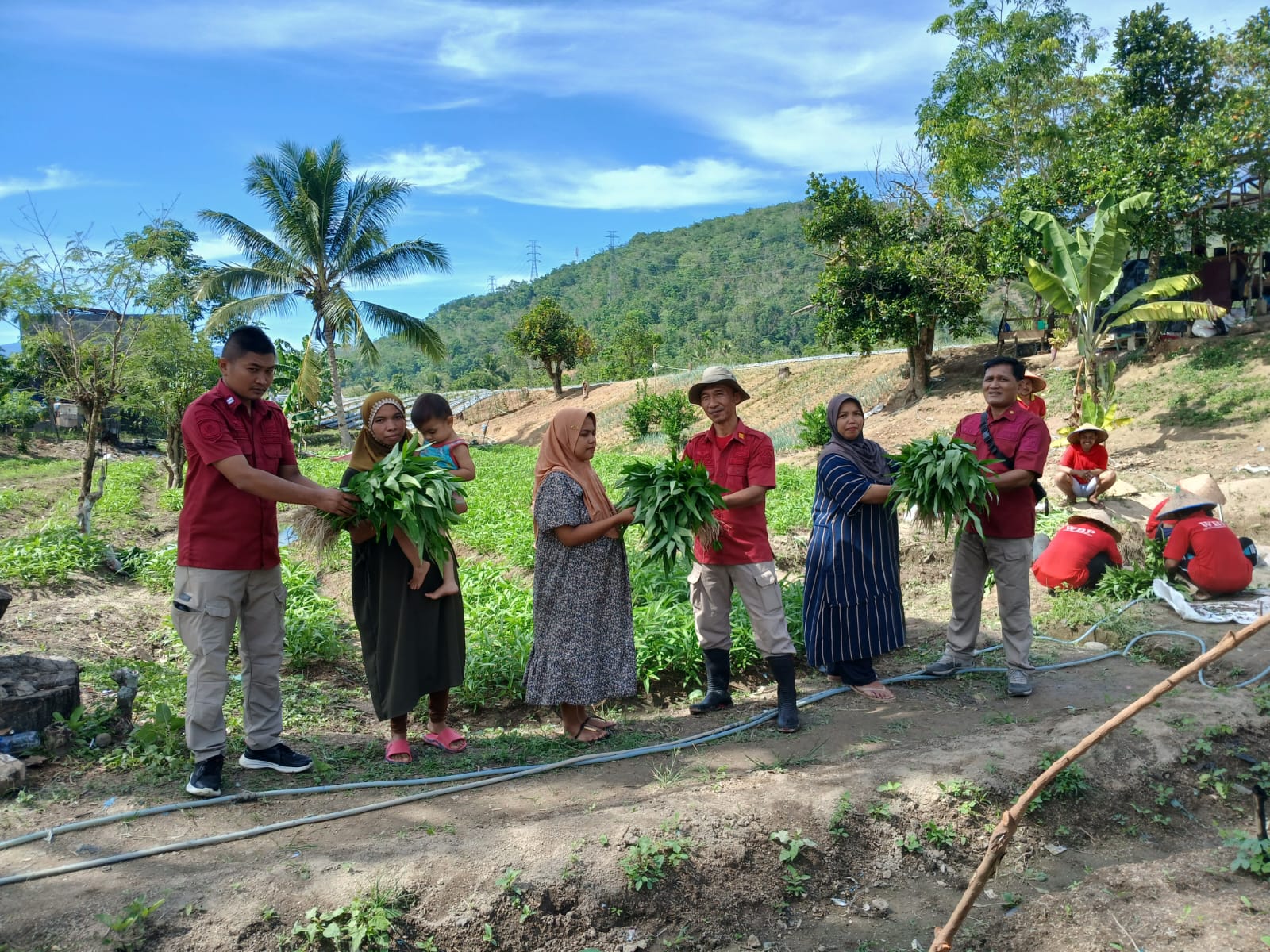 Petugas Lapas Kelas IIB Padangsidimpuan Dan Masyarakat Sekitar Bersama-sama Menikmati Hasil Panen Sayuran Dalam Panen Perdana Program Ketahanan Pangan.(Foto/Doc:Lapas Kelas IIB Padangsidimpuan)