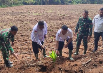 Lapas Tebing Tinggi Cetak WBP Mandiri Lewat Lahan Produktif