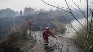 Manggala Agni Fokus Kendalikan Karhutla di Empat Desa Bengkalis
